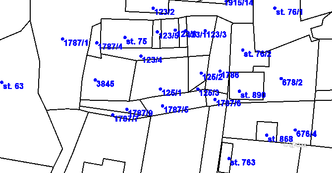 Parcela st. 125 v KÚ Svor, Katastrální mapa