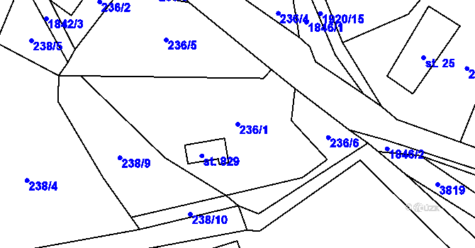 Parcela st. 236/1 v KÚ Svor, Katastrální mapa