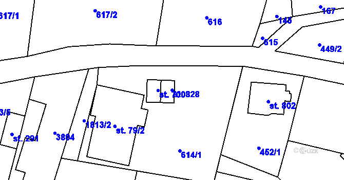 Parcela st. 828 v KÚ Svor, Katastrální mapa