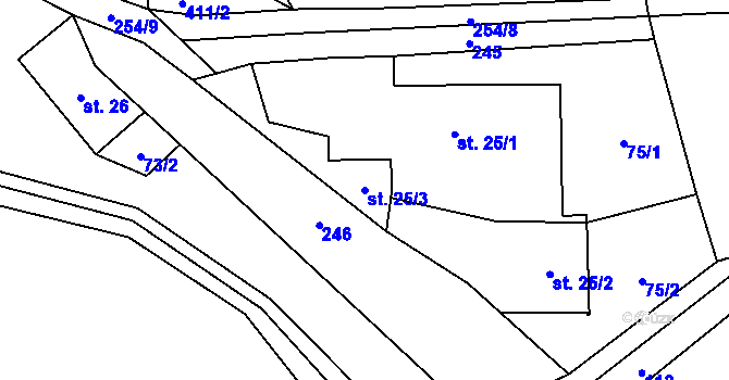 Parcela st. 25/3 v KÚ Česká Cikánka, Katastrální mapa