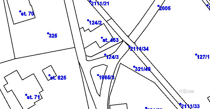 Parcela st. 124/3 v KÚ Svratouch, Katastrální mapa