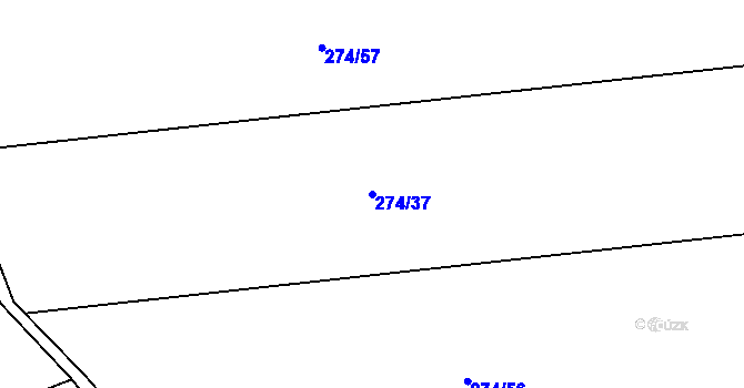 Parcela st. 274/37 v KÚ Sýkořice, Katastrální mapa