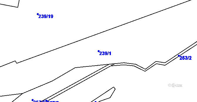 Parcela st. 239/1 v KÚ Synalov, Katastrální mapa