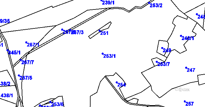 Parcela st. 253/1 v KÚ Synalov, Katastrální mapa