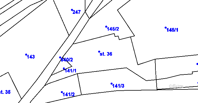 Parcela st. 36 v KÚ Synkov, Katastrální mapa