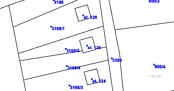 Parcela st. 125 v KÚ Synkov, Katastrální mapa