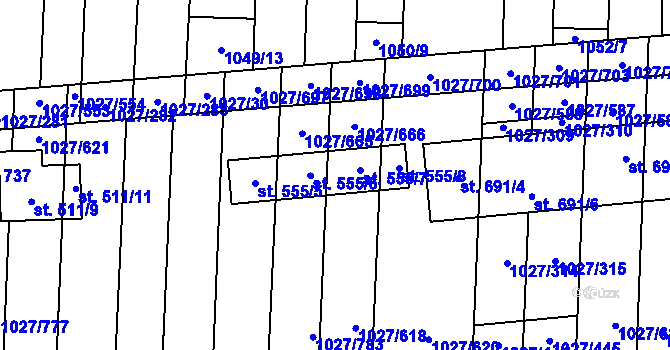 Parcela st. 555 v KÚ Šakvice, Katastrální mapa