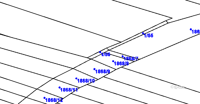 Parcela st. 1/56 v KÚ Šakvice, Katastrální mapa