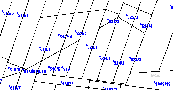 Parcela st. 523/1 v KÚ Šakvice, Katastrální mapa