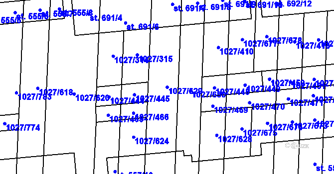 Parcela st. 1027/629 v KÚ Šakvice, Katastrální mapa