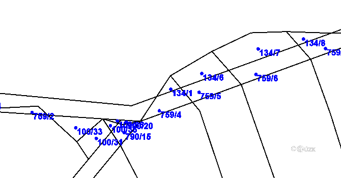 Parcela st. 134/1 v KÚ Šalmanovice, Katastrální mapa