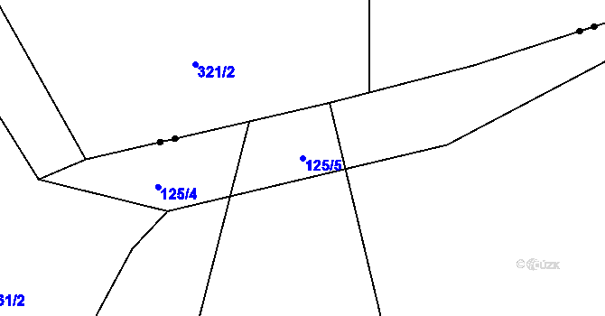 Parcela st. 125/5 v KÚ Šalmanovice, Katastrální mapa