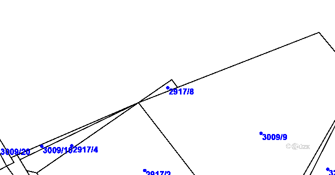 Parcela st. 2917/8 v KÚ Šalmanovice, Katastrální mapa