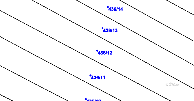 Parcela st. 436/12 v KÚ Světlá u Šebetova, Katastrální mapa