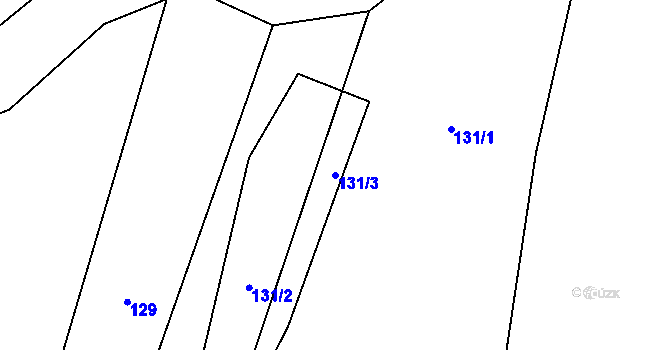 Parcela st. 131/3 v KÚ Šebířov, Katastrální mapa