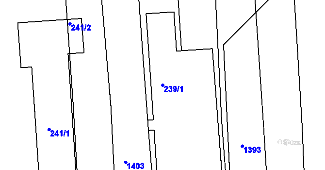 Parcela st. 239/1 v KÚ Šerkovice, Katastrální mapa