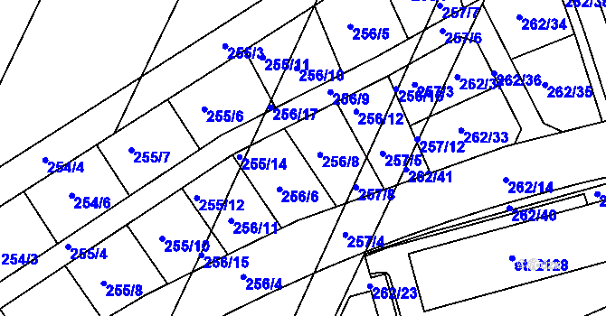 Parcela st. 256 v KÚ Šestajovice u Prahy, Katastrální mapa
