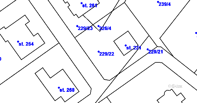 Parcela st. 229/22 v KÚ Minkovice, Katastrální mapa