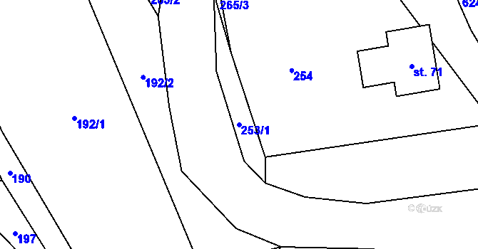 Parcela st. 253/1 v KÚ Rašovka, Katastrální mapa