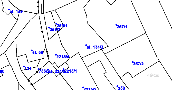 Parcela st. 134/3 v KÚ Široká Niva, Katastrální mapa