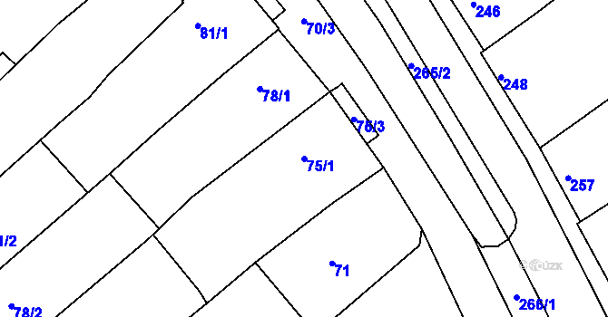 Parcela st. 75/1 v KÚ Šitbořice, Katastrální mapa
