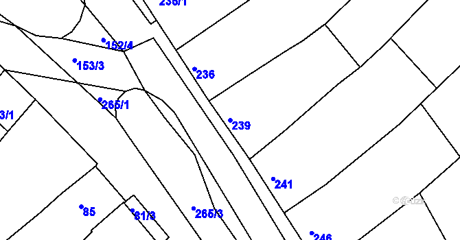 Parcela st. 239 v KÚ Šitbořice, Katastrální mapa