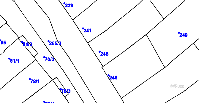 Parcela st. 246 v KÚ Šitbořice, Katastrální mapa