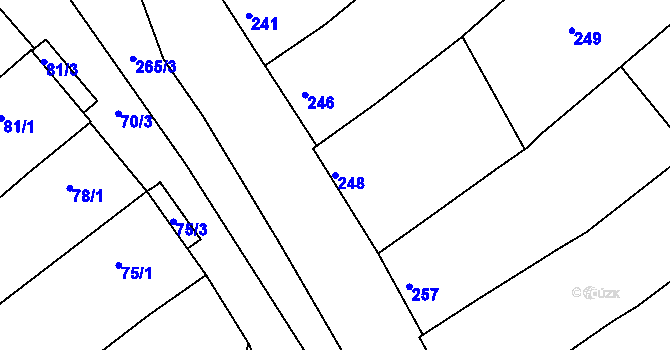 Parcela st. 248 v KÚ Šitbořice, Katastrální mapa
