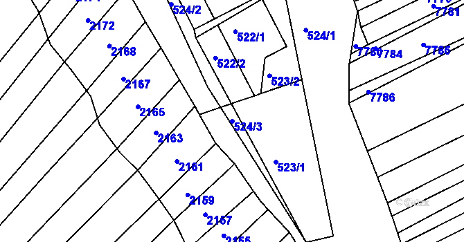 Parcela st. 524/3 v KÚ Šitbořice, Katastrální mapa