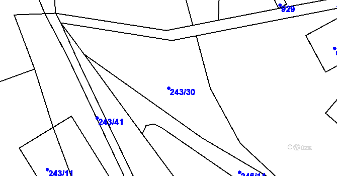 Parcela st. 243/30 v KÚ Přední Labská, Katastrální mapa