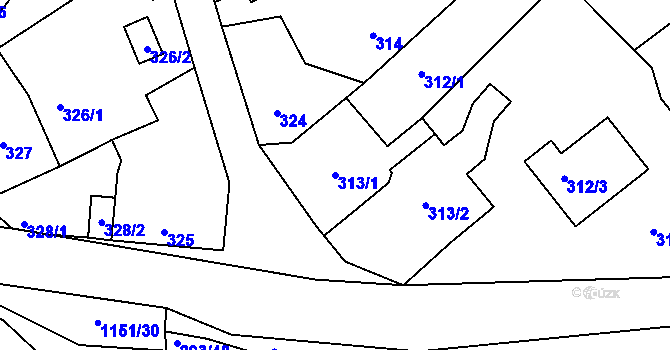 Parcela st. 313/1 v KÚ Štěnovice, Katastrální mapa