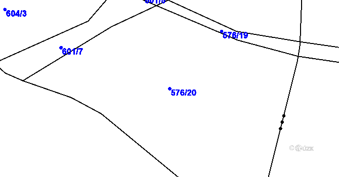 Parcela st. 576/20 v KÚ Štětkovice, Katastrální mapa