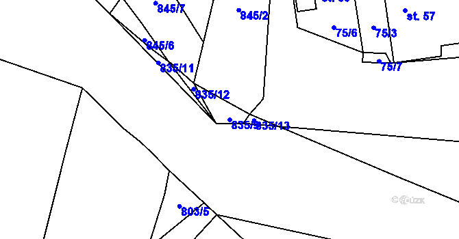 Parcela st. 835/9 v KÚ Tasnovice, Katastrální mapa