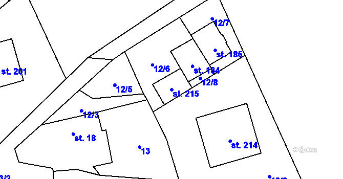 Parcela st. 215 v KÚ Štítkov, Katastrální mapa