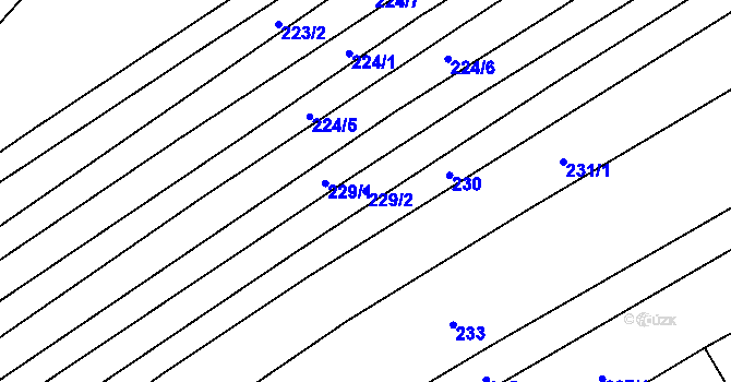 Parcela st. 229/2 v KÚ Štítná nad Vláří, Katastrální mapa