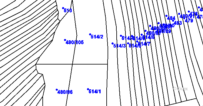 Parcela st. 514 v KÚ Štítná nad Vláří, Katastrální mapa
