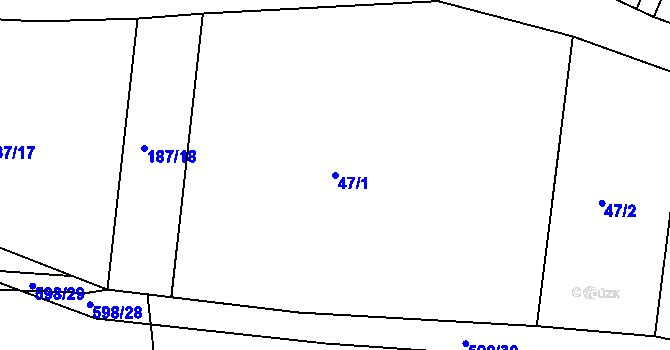 Parcela st. 47/1 v KÚ Tachlovice, Katastrální mapa