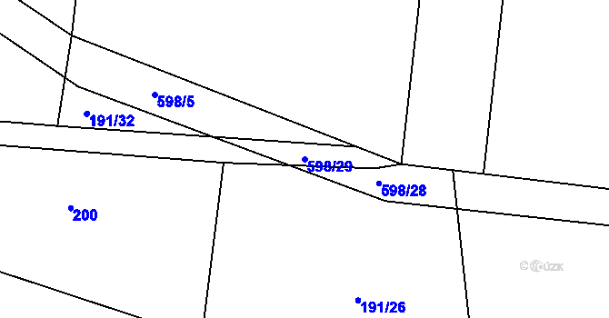 Parcela st. 598/29 v KÚ Tachlovice, Katastrální mapa