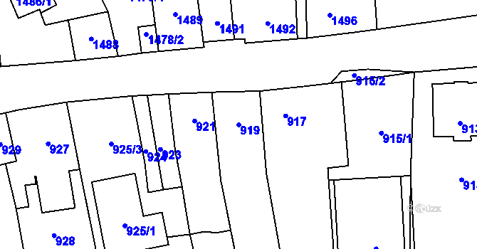 Parcela st. 919 v KÚ Tachov, Katastrální mapa