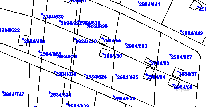 Parcela st. 2984/60 v KÚ Tachov, Katastrální mapa