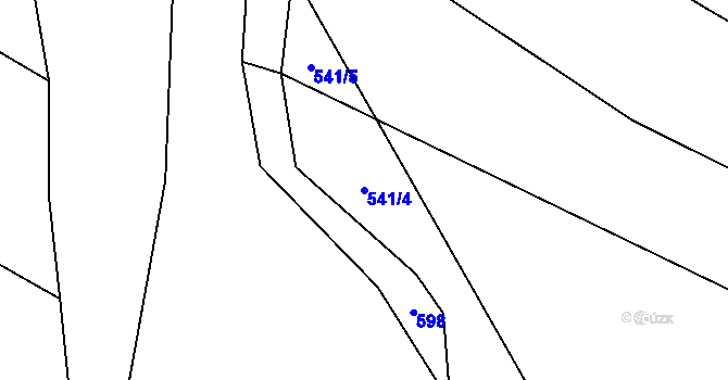 Parcela st. 541/4 v KÚ Bílkovice, Katastrální mapa