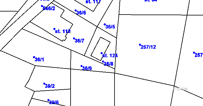 Parcela st. 124 v KÚ Tálín, Katastrální mapa
