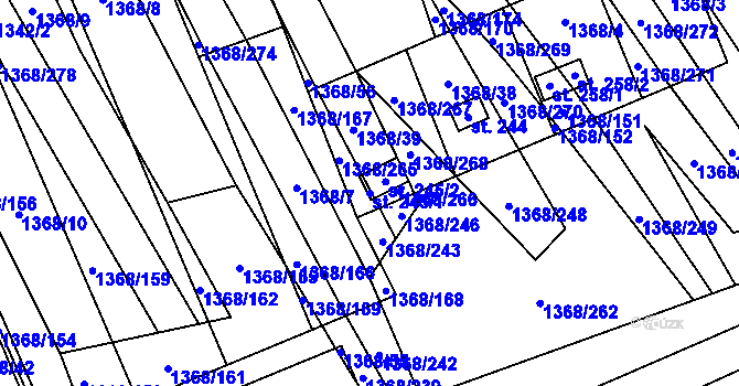 Parcela st. 245/1 v KÚ Tasov nad Veličkou, Katastrální mapa