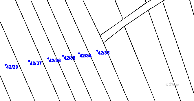 Parcela st. 42/33 v KÚ Tasov nad Veličkou, Katastrální mapa