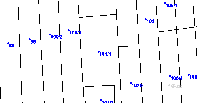 Parcela st. 101/1 v KÚ Tasov nad Veličkou, Katastrální mapa