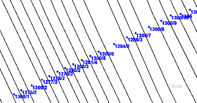 Parcela st. 1300/6 v KÚ Tasov nad Veličkou, Katastrální mapa