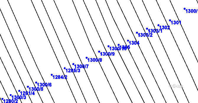 Parcela st. 1300/9 v KÚ Tasov nad Veličkou, Katastrální mapa