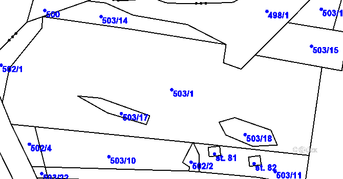 Parcela st. 503/1 v KÚ Tasovice, Katastrální mapa