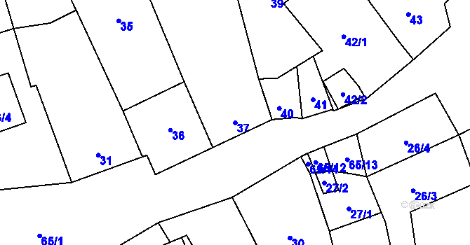 Parcela st. 37 v KÚ Tasovice nad Dyjí, Katastrální mapa