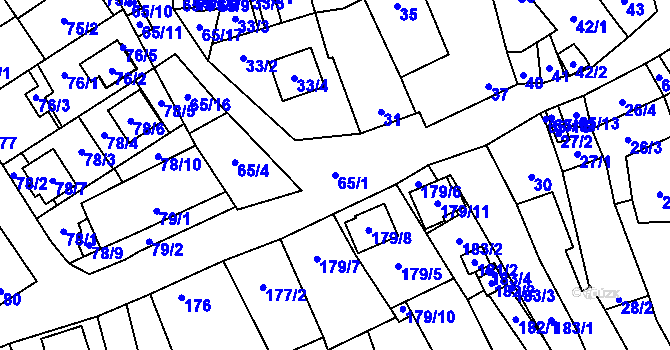Parcela st. 65/1 v KÚ Tasovice nad Dyjí, Katastrální mapa
